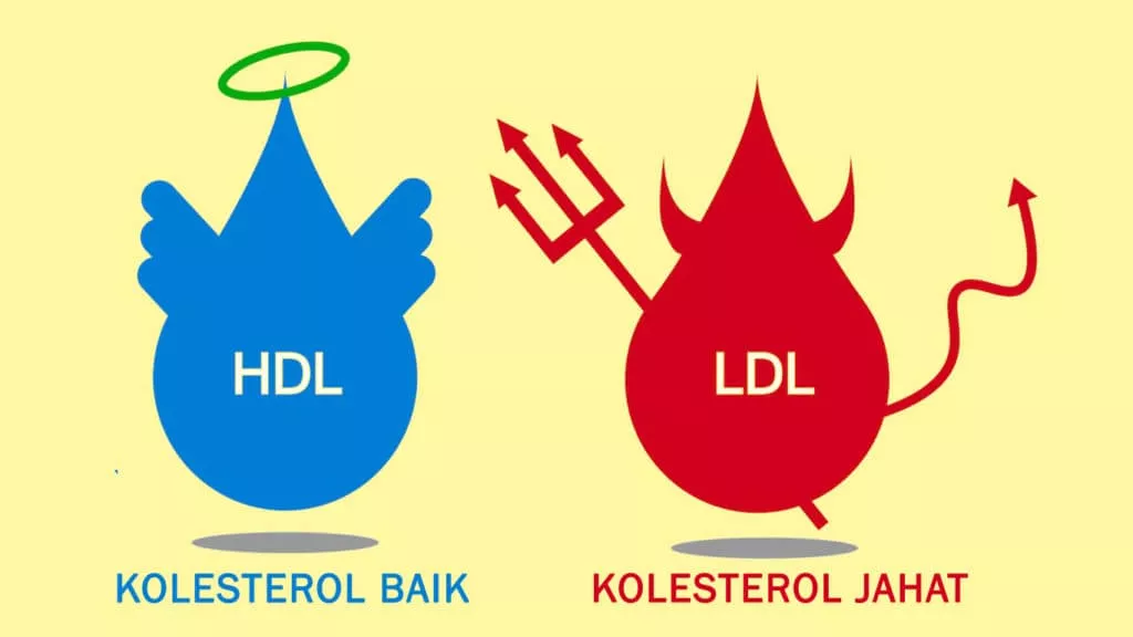 Mengenal Kolesterol, Berbahayakah Bagi Tubuh Kita?