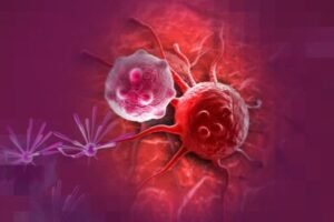 Potensi Antikanker Pada Produk Agarillus Series