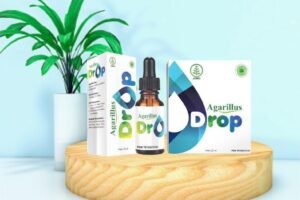 Agarillus Drop Solusi Sehat Ketika Ngedrop