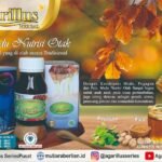 Madu Nutrisi Otak Menambah Konsentrasi