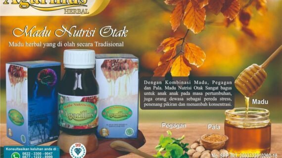 Madu Nutrisi Otak Menambah Konsentrasi