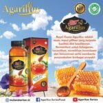 Madu Royal Jelly Madu Super Untuk Kesehatan Anda