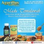 Madu Temulawak Detox Alami Tubuh Anda