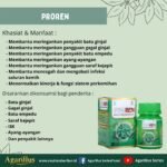 Proren Membantu Meringankan Batu Ginjal