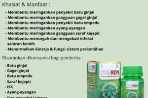 Proren Membantu Meringankan Batu Ginjal